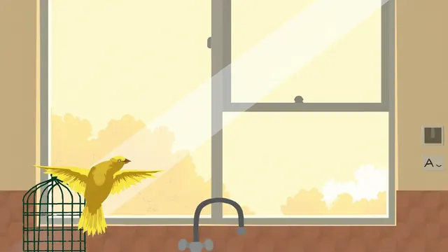 Yellow canary singing on a kitchen windowsill next to its open wire cage